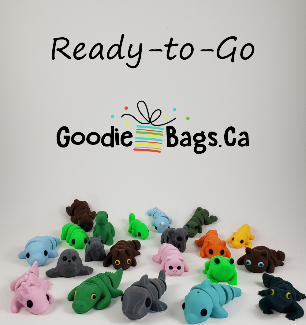 Gift Bags for Everyone - Ages 5+